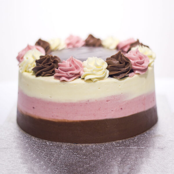 Neopolitan Cake