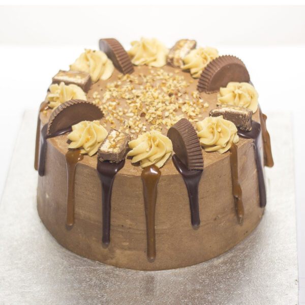 Snickers Reeses Cake